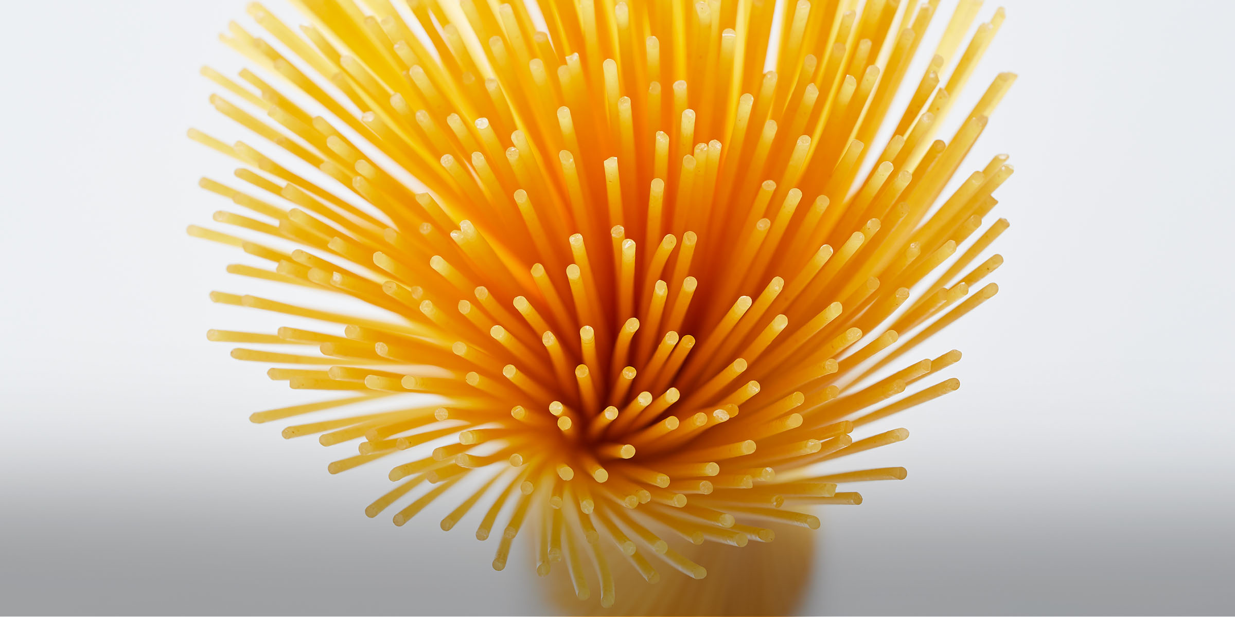 08_pasta_website Home